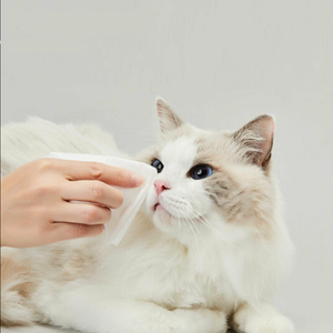 Les lingettes OEM pour animaux de compagnie peuvent être personnalisées pour nettoyer les oreilles des chiens et des chats (pain en forme d'<span class=keywords><strong>oreille</strong></span> de <span class=keywords><strong>chat</strong></span> cuit à la vapeur) - Product Image 2