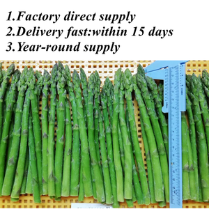 <span class=keywords><strong>Asperges</strong></span> fraîches au meilleur <span class=keywords><strong>prix</strong></span> <span class=keywords><strong>Asperges</strong></span> IQF Fournisseurs de pointes et de coupes <span class=keywords><strong>blanches</strong></span> et vertes <span class=keywords><strong>Asperges</strong></span> congelées pour acheteurs en gros - Product Image 2