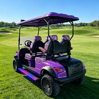 Voitures de golf électriques professionnelles 4 places alimentées au lithium 48V en vente, voiturette de golf tout-terrain, buggy de golf 30-50 km/h, 70-90 km d'autonomie
