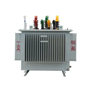 Oil Immersed Self Cooled Transformer S11 10kv 20kv 35kv 3.15kv 630kva 800kva 10000kva Electric Distribution Type Transformers