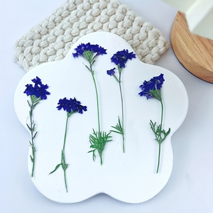 Tiges de <span class=keywords><strong>verveine</strong></span> séchées longue durée avec fleurs pressées pour moules à résine, décoration intérieure et cadeaux de fête des Mères - Product Image 1