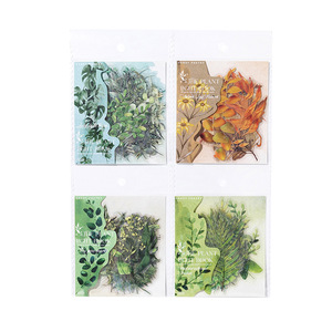 30 pegatinas por paquete Serie de libros de luz botánica Manual botánico natural Pegatinas de material base - Product Image 5