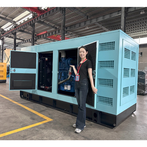 Groupes électrogènes diesel silencieux 200 kW 300 kVA 300 kW 315 kVA 350 kVA, Groupe électrogène diesel 250 kW 312,5 kVA, Groupe électrogène à <span class=keywords><strong>moteur</strong></span> <span class=keywords><strong>Stirling</strong></span> - Product Image 1