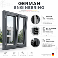 SERIE MINIMALISM Ventanas Ultra Estrechas de Doble Vidrio con Perfil de Aleación de Aluminio, Certificación CE, con Mosquitera para Hogares