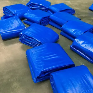 ברזנט PE פלסטיק עמיד למים בד עמיד ללבוש חצר מטען ברזנט דרום קוריאני ברזנט בד גשם