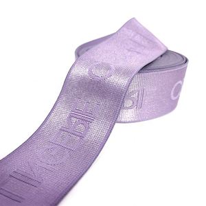 Factory Wholesale Shiny Customized Elastic Band for Underwear and Clothing Durable <b>Webbing</b> Product - Product Image 1