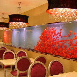 Aquarium à eau salée transparent de grande taille à prix avantageux, réservoir à poissons de 120 gallons - Product Image 1