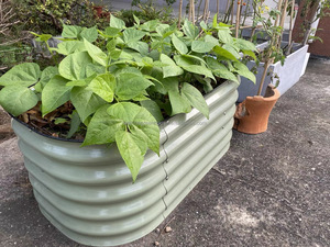 Bán Buôn Sóng Kim Loại Lớn Ra Giường Vườn Tùy Chỉnh <span class=keywords><strong>Veggie</strong></span> <span class=keywords><strong>Planter</strong></span> Hộp Ngoài Trời Sân Trang Trí Nội Thất - Product Image 6