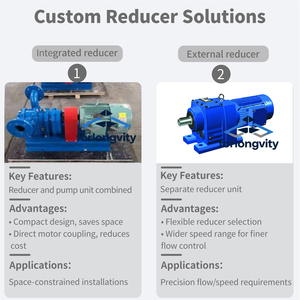 Bomba de lóbulos eléctrica de alta presión LZB de servicio pesado con conexión de brida de acero inoxidable y sello mecánico para lodos, aguas residuales y productos de pesca - Product Image 3