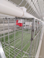 Cage à poules pondeuses de type A à 3 ou 4 niveaux, galvanisée, pour 96, 128, 160, 120 oiseaux, cage en batterie pour poules pondeuses, équipement d'élevage