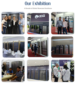 210L Electric Portable Double Door Top Mount <b>Refrigerator</b> with Freezer for Household Use - Product Image 6