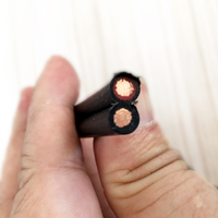 10mm Doppelkern-PV-Kabel XLPE DC Solarkabel TÜV PV1-F 2x6 2x4 2x10mm² 2-adrig 6mm Photovoltaik Mehradriges Kupferleiterkabel