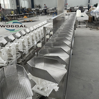Automatische Sorteermachine Voor Fruitgroente
