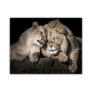 Những khoảnh khắc trìu mến: Trái phiếu sư tử và sư tử in trên tranh nghệ thuật vẽ tranh tường - Product Image 1