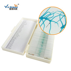 Cabellos esteláticos ramificados de la epidermis de la hoja; preparado de plantas; hoja; espécimen de sección de animales y plantas; para uso en microscopio. - Product Image 2