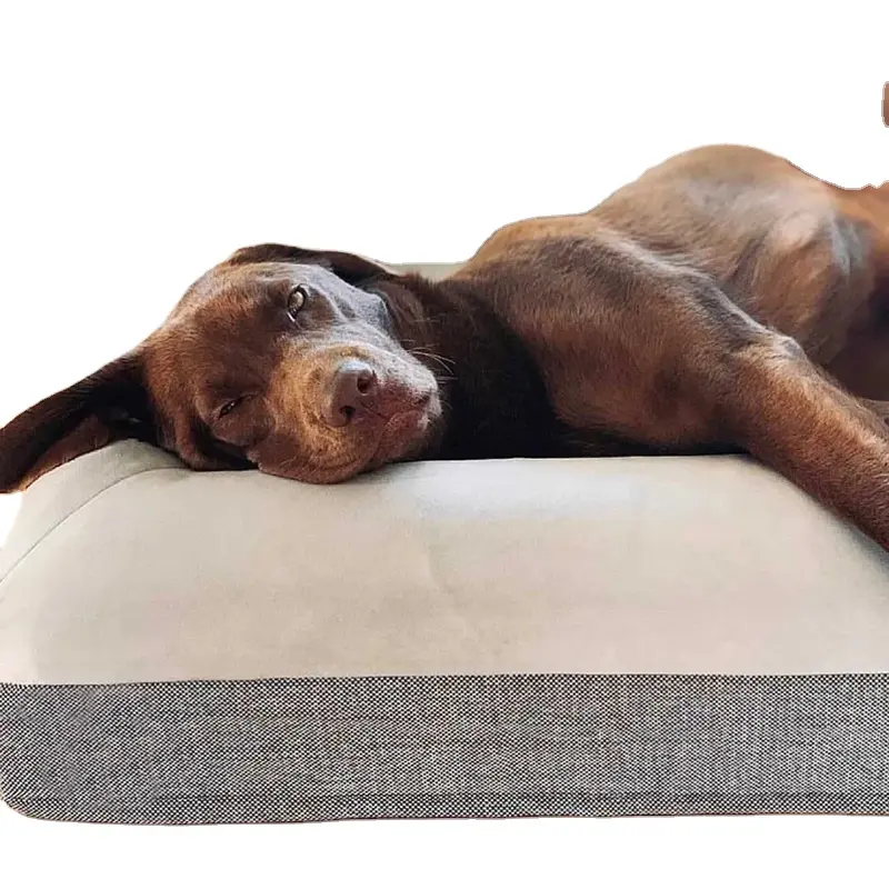 Vente directe d'usine de lit orthopédique en mousse à mémoire de forme pour chien et chat pour grand chien