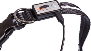 맞춤형 반려견 목줄 야간 안전 USB 충전식 <span class=keywords><strong>LED</strong></span> 야광 조절 가능 발광 목줄 및 리드줄 세트 - Product Image 5