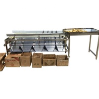 Automatische roestvrijstalen fruit- en groentesorteermachine voor noten en aardbeien met 3-7 sorteerstanden, capaciteit 1000 kg/uur