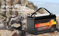 Batterie LiFePO4 ZTGF 12V 100Ah rechargeable, batterie solaire au lithium, batterie lithium-ion 12V