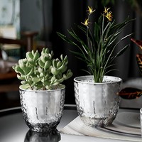 Pot Bunga Sukulen Self-Watering Transparan PP dengan Lubang Drainase, Desain Stylish untuk Penggunaan di Lantai