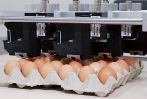 Professional Inkjet Marker and <strong>Coder</strong> 392184 1620 FG, IP65 Inkjet Printer for Egg Coding and Marking - Product Image 4