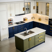 Meubles d'îlot de cuisine modernes bicolores contrastés, solutions de menuiserie sur mesure pour toute la maison, vente en gros pour projets de construction