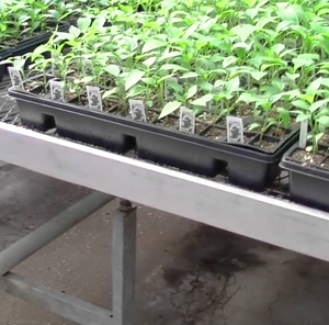 ONE-one Ebb Flow Hydroponique Serre Petite Table de Culture Banc Roulant pour la Culture des Plantes Nouvelle Irrigation Hydroponique - Product Image 5