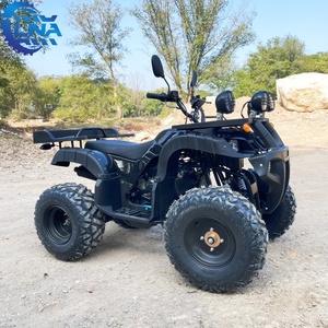 Personalización de Logotipo LNA para Bicicleta <span class=keywords><strong>Quad</strong></span> de 250cc, Se Puede Agregar Logotipo de Empresa, Alquiler Turístico - Product Image 6