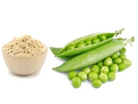 Protéine nutritionnelle de sport entier, vente en gros de protéine de pois en poudre d'isolat de protéine de pois biologique sans gm