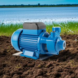 Elestar תחרותי qb60 odm כונן כונן AC סגסוגת אלומיניום בית שימוש 0.5 1hp לחץ נמוך 9m משק משאבת מים חדשה משאבת מים חשמלית - Product Image 2