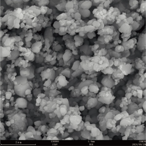 <span class=keywords><strong>Microscopio</strong></span> Electrónico de Barrido de Emisión en Campo BestScope BDEM-25, Resolución <2nm, Ampliación 500000X, FESEM - Product Image 4