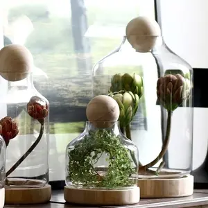 Vas Kaca Transparan dengan Tutup Bola Kayu, Wadah Tanaman, Terarium Bunga, Grosir