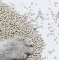 Litière pour chat en bentonite anti-adhésive de 5 kg, respectueuse de l'environnement, avec base anti-adhésive