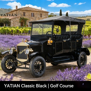 Carrito de Golf Vintage de 5 Plazas para Resort y Hotel |   Autobús Turístico Clásico Retro de Fábrica OEM en Venta - Product Image 3