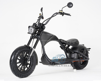Trottinette électrique Citycoco M1P 2000W avec pneus larges de 14 pouces, freins à disque hydrauliques et éclairage LED pour adultes – Entrepôt Allemagne