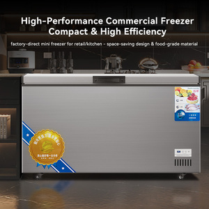 Hot Sale Chest Freezer 300l -30c Single Degree Horizontal Home Deep Small Fridge Bjd-083 Chests Freezers - Product Image 3