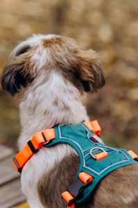 Soft Padded Dog Harness No Pull Adjustable Comfortable Pet Vest For Small Medium Large Dogs Easy On And Off - Product Image 2