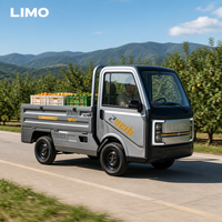 Camionnette électrique de transport de marchandises de pointe pour la vie urbaine moderne, camion écologique LIMO Cargo avec garantie d'un an, OEM ODM