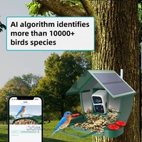 Vente en gros AI identifie plus de 10000 espèces d'oiseaux mangeoire d'oiseaux à caméra intelligente activée par le mouvement avec panneaux solaires