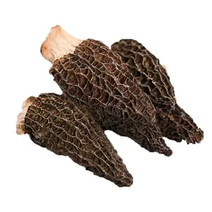 Yang du Jun Nhà cung cấp Trung Quốc khô morels morchella conica esculenta Nấm - Product Image 1