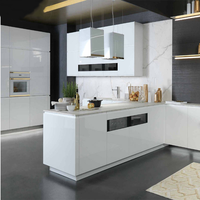 Meubles de cuisine modulaires modernes en gros, armoires de cuisine en bois de manguier avec portes métalliques, résistantes à l'eau, installation facile, rangement de cuisine