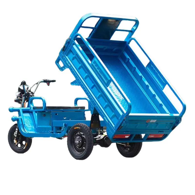 Electric Tricycles 2024 Most Three Wheel Electric Tricycle Sold for Cargo