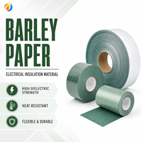 Kertas Isolasi Listrik Barley Paper, Gulungan Lembaran Kertas Ikan, Dielektrik Tinggi, Tahan Panas, Fleksibel untuk Motor, Transformator, Baterai