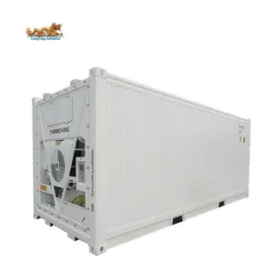 Thermo King 20 ft pendingin pengiriman mesin kulkas wadah Freezer 20ft ruang penyimpanan dingin untuk dijual