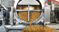 Industriële popcornmachine 50kg/uur automatische gas-elektrische caramel popcorn productielijn voor popcornfabriek