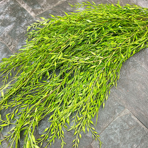 Rama sintética de mimbre de PE con hojas delgadas de <span class=keywords><strong>sauce</strong></span> <span class=keywords><strong>llorón</strong></span> de plástico realista para decoración de techo y accesorio de fondo de escenario pastoral - Product Image 2