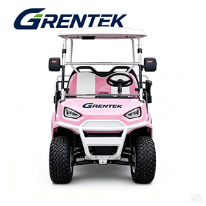 Voiturette de golf électrique rose personnalisée, nouvelle, haute puissance, meilleur prix, 1-2 places, 30 km/h, 50-70 km d'autonomie, hors route public - Product Image 2