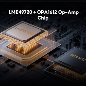 Aiyima T20 Thuisversterker Vacuümbuis Ecc83 Voorversterker Volledig Gebalanceerde 12V Trigger <span class=keywords><strong>Output</strong></span> Rca Xlr Ingang Hifi <span class=keywords><strong>Stereo</strong></span> Dac Amp - Product Image 4