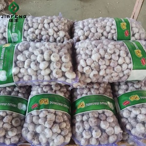 Bon <span class=keywords><strong>prix</strong></span> <span class=keywords><strong>Ail</strong></span> blanc frais chinois pour la vente en gros de légumes frais en sacs/cartons en filet de 20kg <span class=keywords><strong>prix</strong></span> d'usine <span class=keywords><strong>ail</strong></span> blanc frais - Product Image 1
