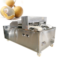 Olijvenontpitter CE-gecertificeerd 2,2 kW motor multifunctionele kersenontpitter fruitextractie werkplaatsmachine